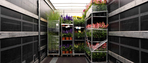 Перевозка растений 5